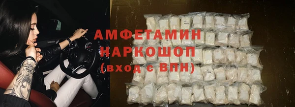 хмурый Алзамай