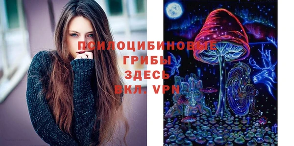 индика Алексеевка