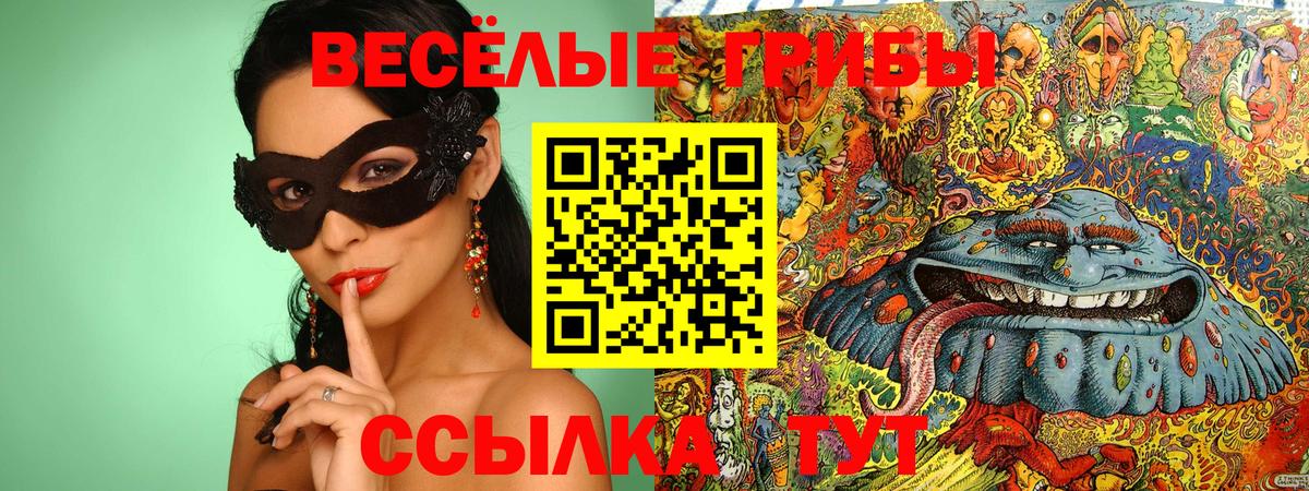 Псилоцибиновые грибы GOLDEN TEACHER Южно-Сахалинск